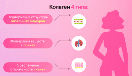 Разбираемся в типах коллагена: какой подходит именно тебе? - img-5 - Блог Perla Helsa