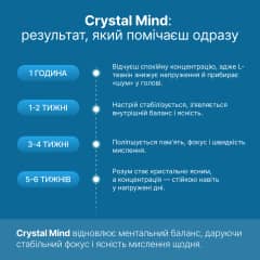 Crystal Mind - thumb 7