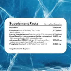 Crystal Mind - thumb 8