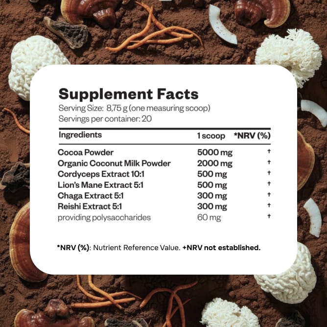 Mushroom Cacao - preview 8