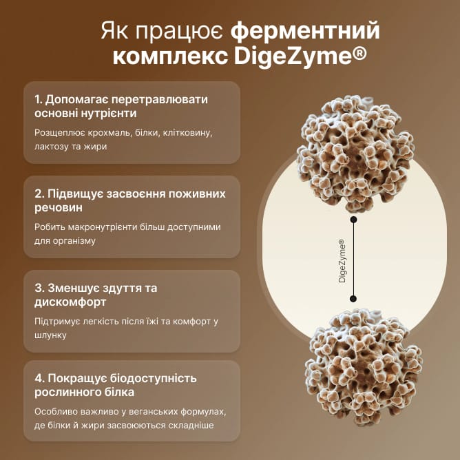 Daily Vegan Protein - preview 4